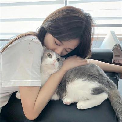 键盘猫